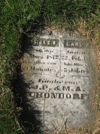 SCHONDORFT, CARL A. - Dubuque County, Iowa | CARL A. SCHONDORFT 