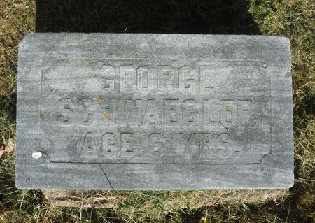 SCHWAEGLER, GEORGE - Dubuque County, Iowa | GEORGE SCHWAEGLER 