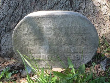 STEDMAYR, VALENTINE - Dubuque County, Iowa | VALENTINE STEDMAYR 