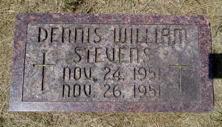 STEVENS, DENNIS WILLIAM - Dubuque County, Iowa | DENNIS WILLIAM STEVENS 