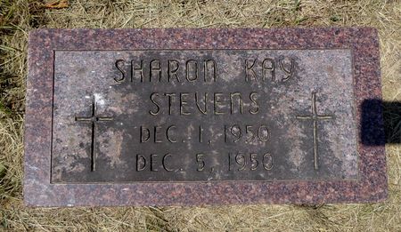 STEVENS, SHARON KAY - Dubuque County, Iowa | SHARON KAY STEVENS 