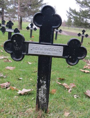 SWEENEY, REV. N. - Dubuque County, Iowa | REV. N. SWEENEY 