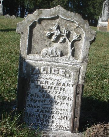 TENCH, JAMES - Dubuque County, Iowa | JAMES TENCH 