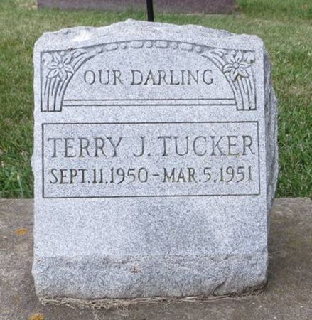 TUCKER, TERRY J. - Dubuque County, Iowa | TERRY J. TUCKER 