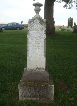 TUTHILL, CATHERINE A. - Dubuque County, Iowa | CATHERINE A. TUTHILL 