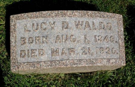 WALDO, LUCY D. - Dubuque County, Iowa | LUCY D. WALDO 
