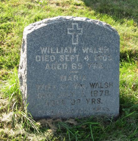WALSH, WILLIAM - Dubuque County, Iowa | WILLIAM WALSH 