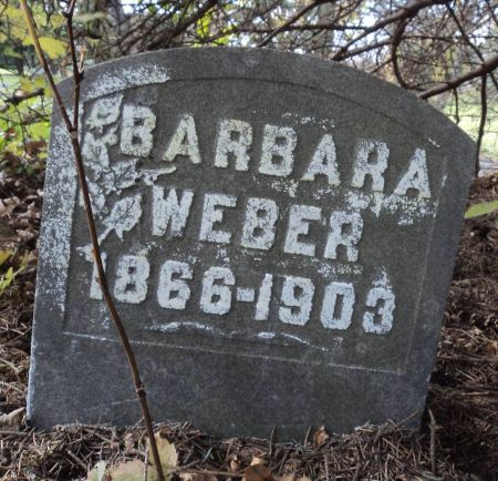 WEBER, BARBARA - Dubuque County, Iowa | BARBARA WEBER 