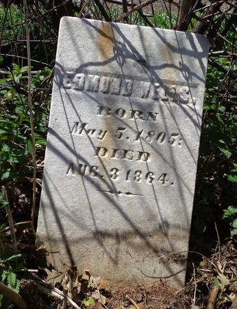 WELLS, EDMUND - Dubuque County, Iowa | EDMUND WELLS 