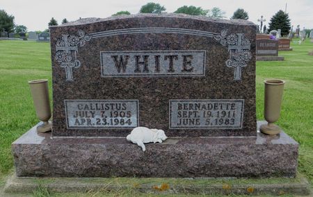 WHITE, CALLISTUS - Dubuque County, Iowa | CALLISTUS WHITE 