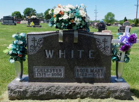 WHITE, ROSE MARY - Dubuque County, Iowa | ROSE MARY WHITE 