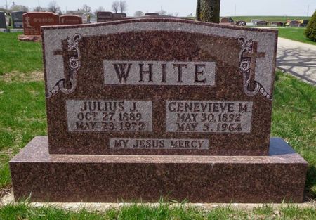 WHITE, JULIUS J. - Dubuque County, Iowa | JULIUS J. WHITE 