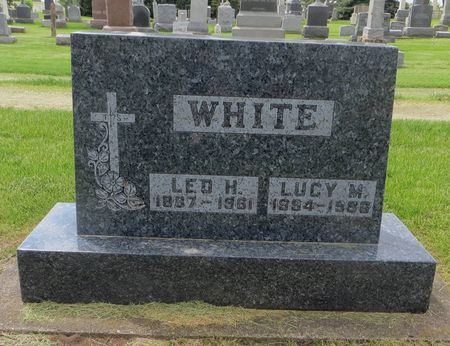 WHITE, LEO HENRY - Dubuque County, Iowa | LEO HENRY WHITE 