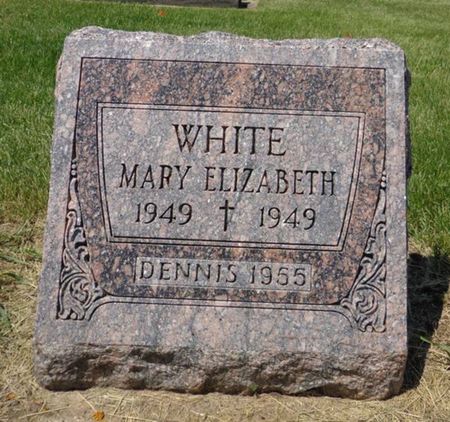 WHITE, DENNIS - Dubuque County, Iowa | DENNIS WHITE 
