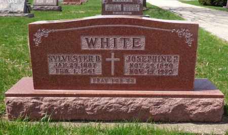 WHITE, JOSEPHINE P. - Dubuque County, Iowa | JOSEPHINE P. WHITE 
