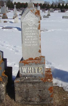 WHITE, THERESIA - Dubuque County, Iowa | THERESIA WHITE 