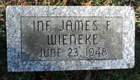 WIENEKE, JAMES (INF.) - Dubuque County, Iowa | JAMES (INF.) WIENEKE 