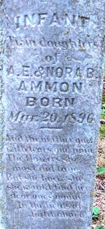 AMMON, INFANT TWIN DAUGHTERS - Emmet County, Iowa | INFANT TWIN DAUGHTERS AMMON 