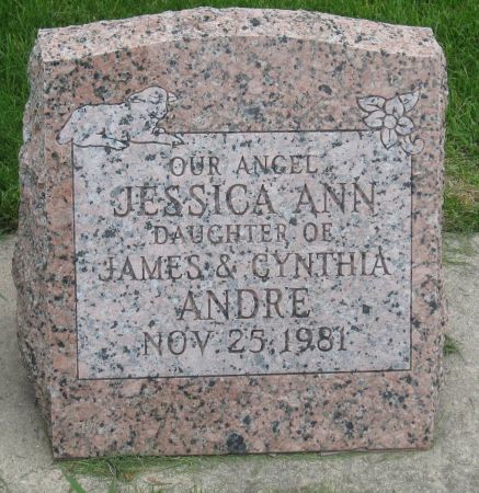 ANDRE, JESSICA ANN - Emmet County, Iowa | JESSICA ANN ANDRE 