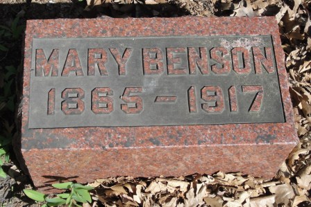 BENSON, MARY - Emmet County, Iowa | MARY BENSON 