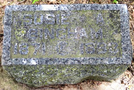 BINGHAM, SUSAN ADELAIDE 