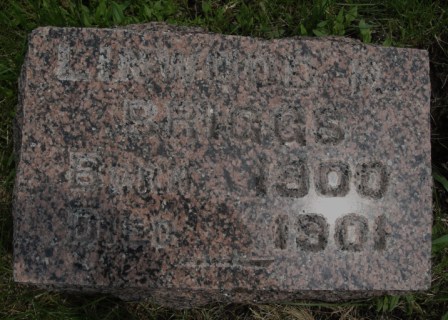 BRIGGS, LINWOOD R. - Emmet County, Iowa | LINWOOD R. BRIGGS 