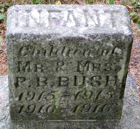 BUSH, INFANT CHILDREN - Emmet County, Iowa | INFANT CHILDREN BUSH 