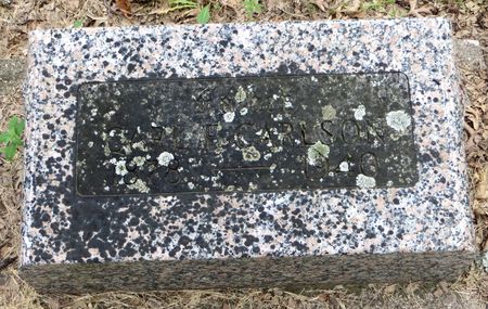 CARLSON, CARL F. - Emmet County, Iowa | CARL F. CARLSON 