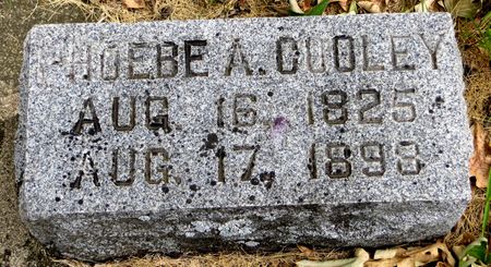 COOLEY, PHOEBE ANNA - Emmet County, Iowa | PHOEBE ANNA COOLEY 
