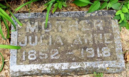 COX, JULIA ANNE - Emmet County, Iowa | JULIA ANNE COX 