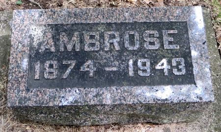 JOHNSON, AMBROSE EMERSON - Emmet County, Iowa | AMBROSE EMERSON JOHNSON 