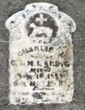 LARBIG, CHARLIE - Emmet County, Iowa | CHARLIE LARBIG 