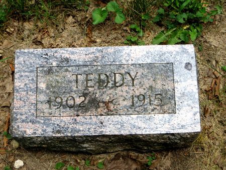 MCAFFEE, THEODORE LEWIS 