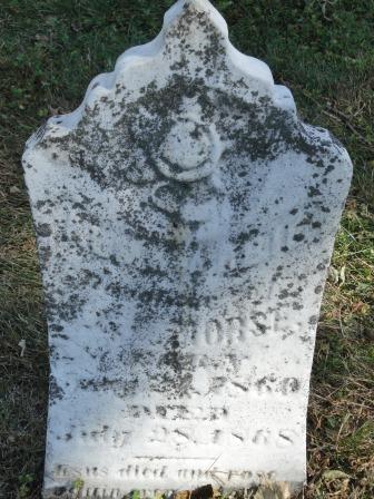 MORSE, ALMA ABBIE - Emmet County, Iowa | ALMA ABBIE MORSE 