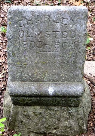 OLMSTED, CHARLEY - Emmet County, Iowa | CHARLEY OLMSTED 