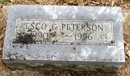 PETERSON, ESCO G. - Emmet County, Iowa | ESCO G. PETERSON 