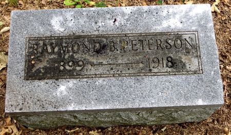 PETERSON, RAYMOND B. - Emmet County, Iowa | RAYMOND B. PETERSON 