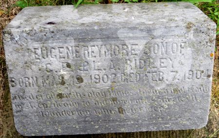 RIDLEY, EUGENE REYMORE - Emmet County, Iowa | EUGENE REYMORE RIDLEY 