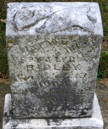 RIDLEY, INFANT SON - Emmet County, Iowa | INFANT SON RIDLEY 