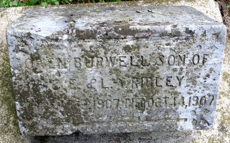 RIDLEY, OWEN BURWELL - Emmet County, Iowa | OWEN BURWELL RIDLEY 