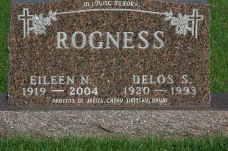 ROGNESS, DELOS S. - Emmet County, Iowa | DELOS S. ROGNESS 