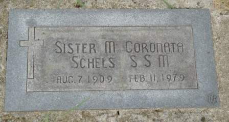 SCHELS, M. CORONATA - Emmet County, Iowa | M. CORONATA SCHELS 