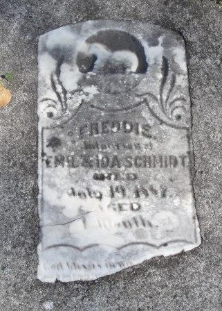 SCHMIDT, FREDDIE - Emmet County, Iowa | FREDDIE SCHMIDT 