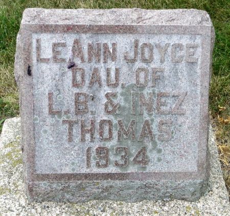 THOMAS, LEANN JOYCE - Emmet County, Iowa | LEANN JOYCE THOMAS 