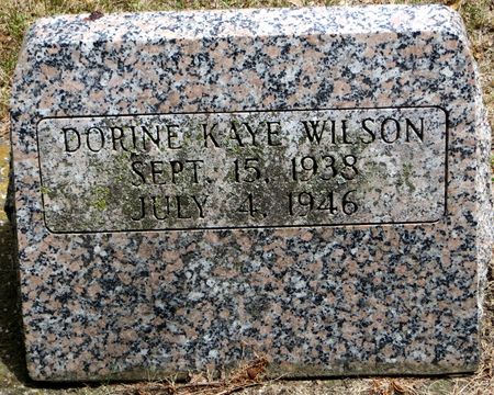 WILSON, DORINE KAYE - Emmet County, Iowa | DORINE KAYE WILSON 
