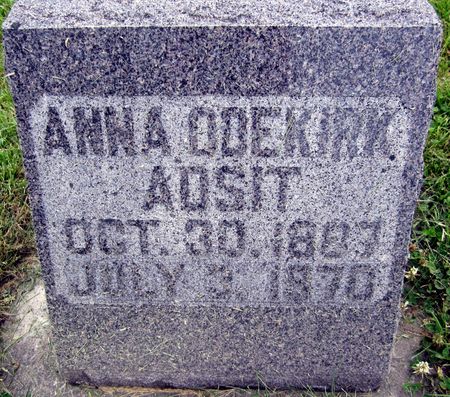 ADSIT, ANNA - Fayette County, Iowa | ANNA ADSIT 