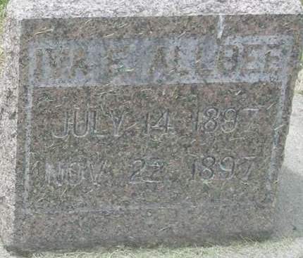 ALLBEE, IVA E. - Fayette County, Iowa | IVA E. ALLBEE 