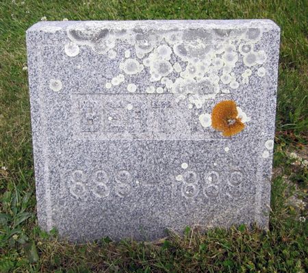 AUSTIN, BERT - Fayette County, Iowa | BERT AUSTIN 