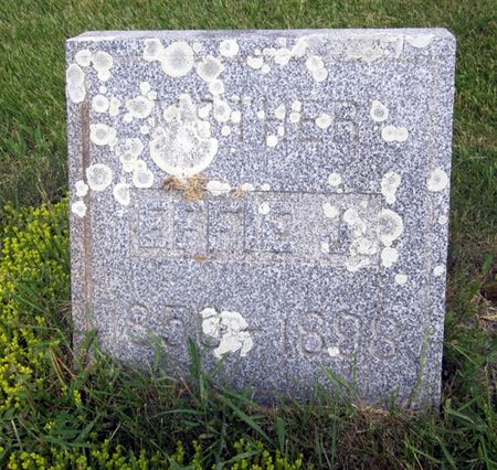 AUSTIN, EFFIE J. - Fayette County, Iowa | EFFIE J. AUSTIN 