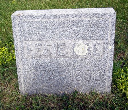 AUSTIN, EFFIE MAE - Fayette County, Iowa | EFFIE MAE AUSTIN 